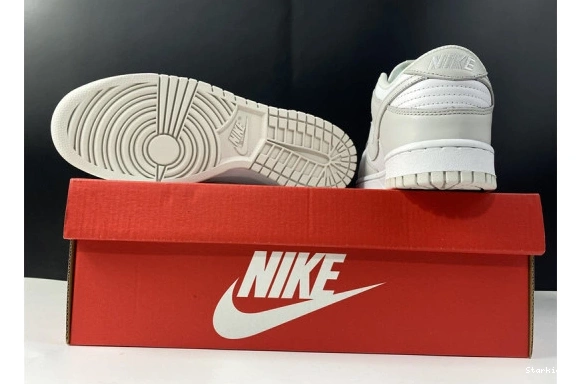 DD1503-103 Dust" Dunk Nike Low "Photon 0113